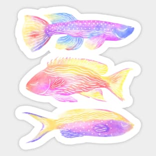 Rainbow Fishes Sticker